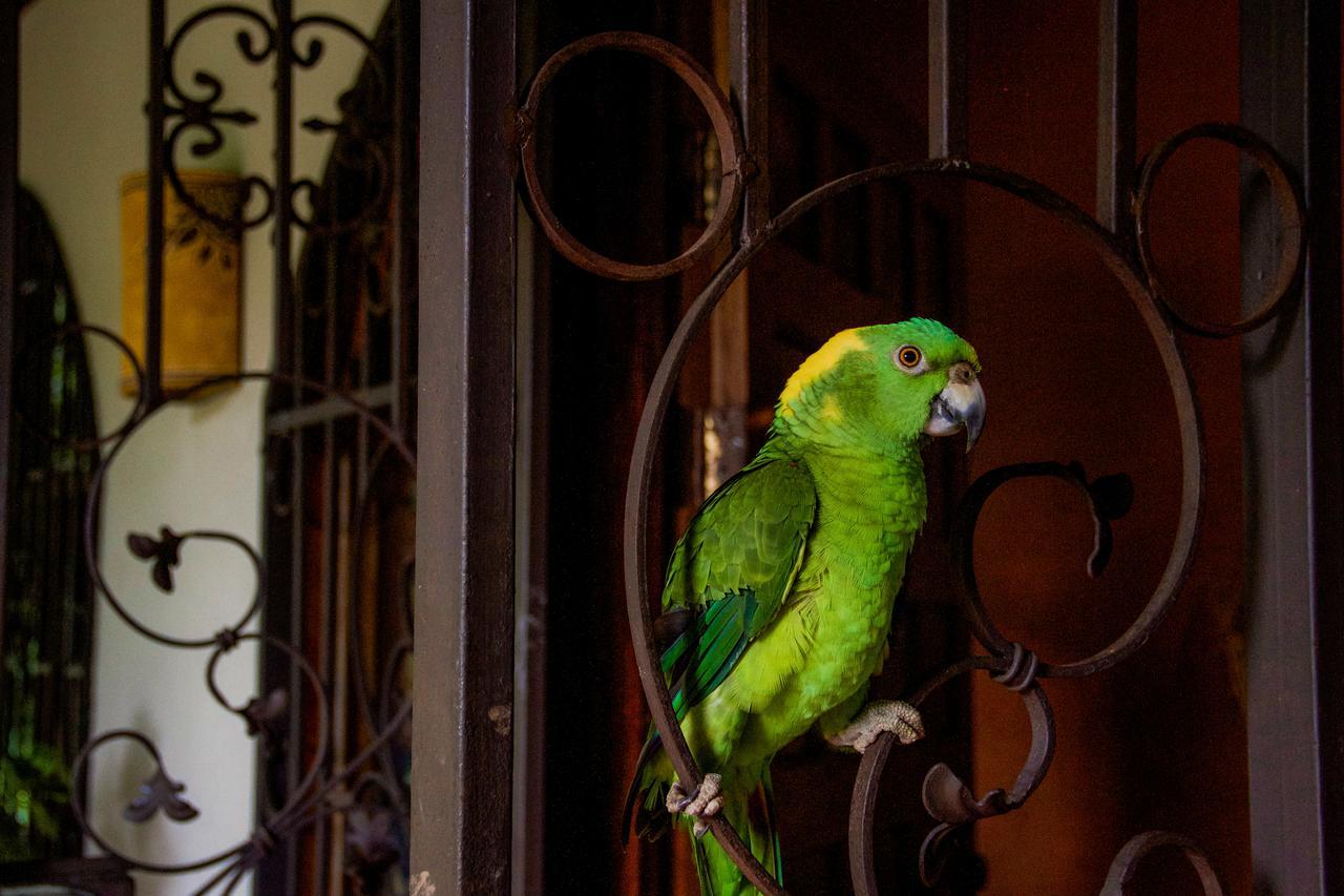 Quinta Mi Tata B&B Sardinal Extérieur photo